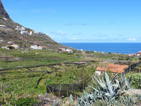 Santa Catalina