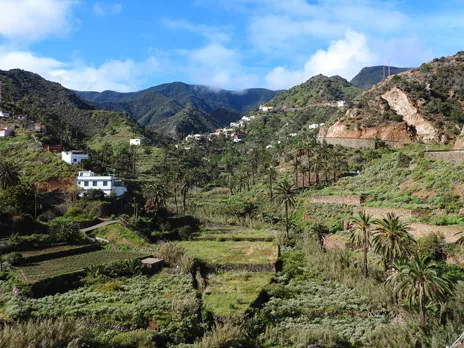 Macayo