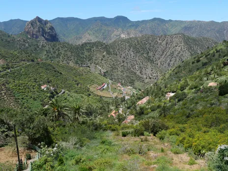 Tamargada