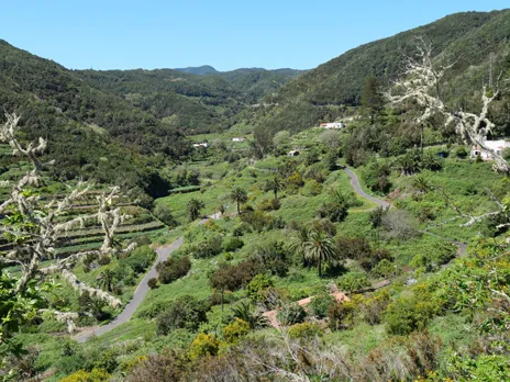 Mirador de La Palmita