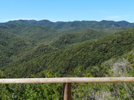 Mirador de Lomo del Dinero