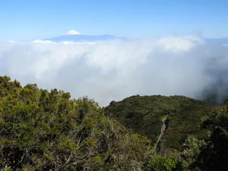 Pico del Teide