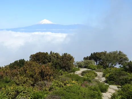 Pico del Teide