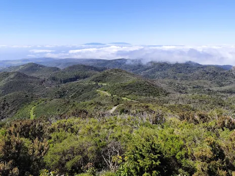 La Palma
