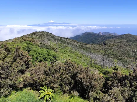 Pico del Teide