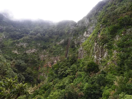 Chorro del Cedro