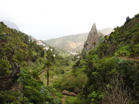 Barranco del Cedro