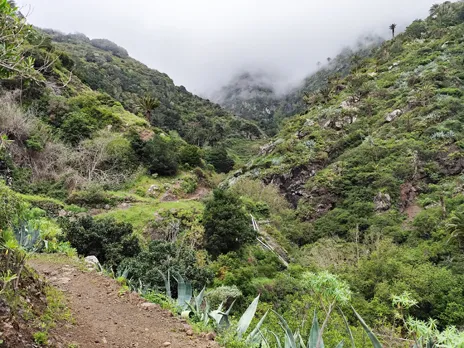 Barranco del Cedro