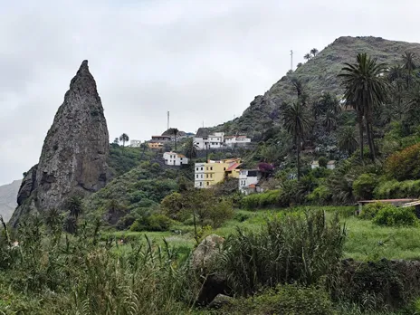Roque Pedro