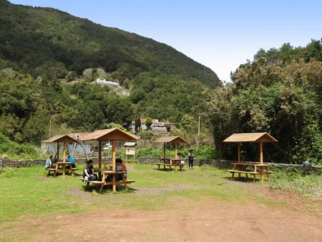 El Cedro