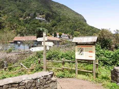 El Cedro