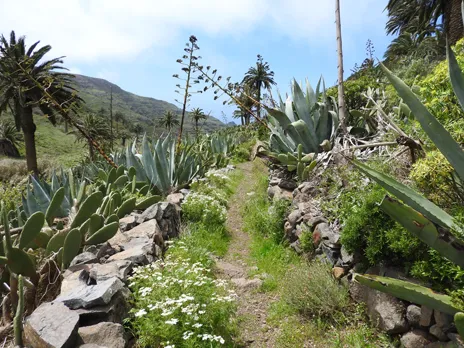 Barranco de la Matanza