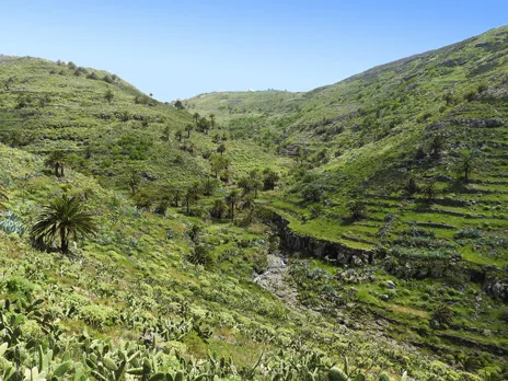Barranco de los Manantiales