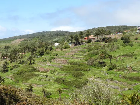 Las Hayas