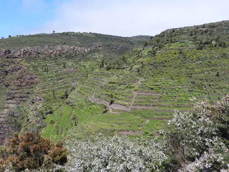 Barranco del Agua