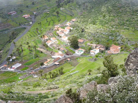 Pavón