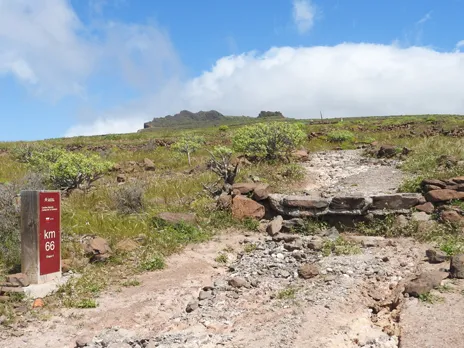 Camino la Mérica