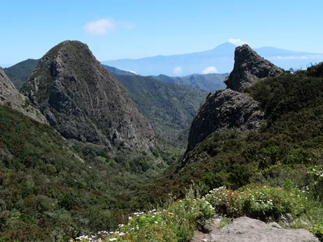 Roque de Ojila
