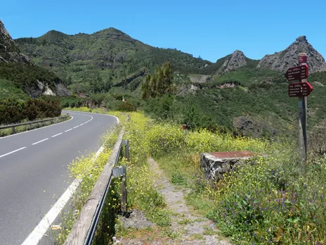 Camino GR-131