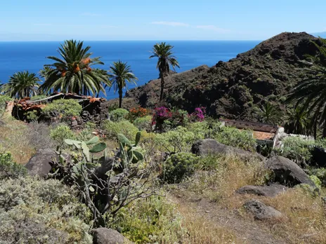 El Palmar