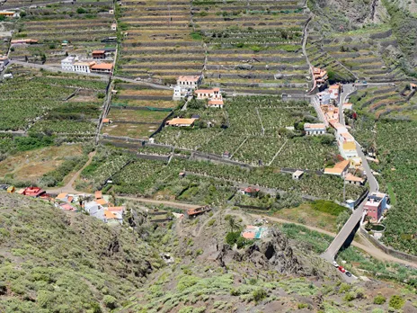 Santa Catalina