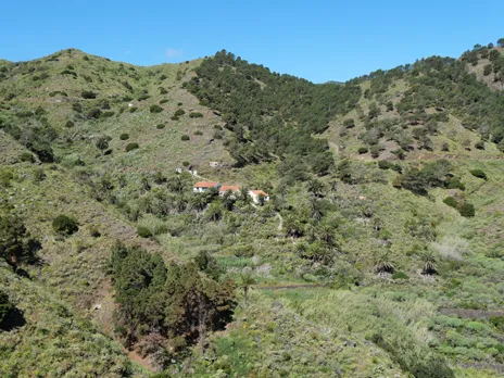 Casas Aloha